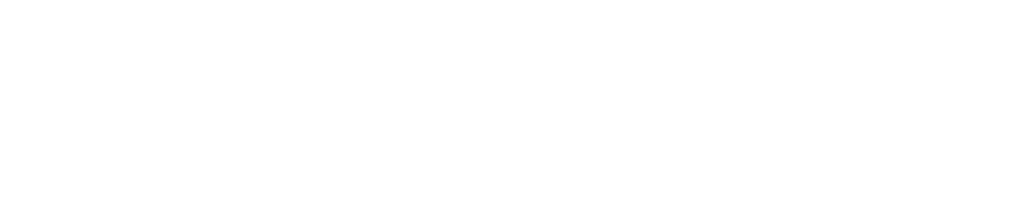D. Salamon Gradnja